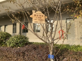 建筑旁边有树&#xA;&#xA;中度可信度描述已自动生成