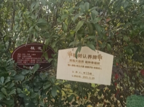 树上有许多广告&#xA;&#xA;中度可信度描述已自动生成