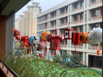商店的门口前有许多花&#xA;&#xA;中度可信度描述已自动生成