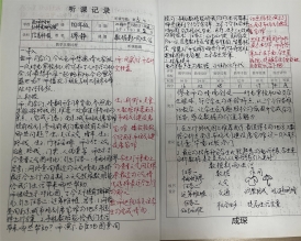 成琛