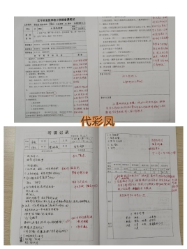 代彩凤