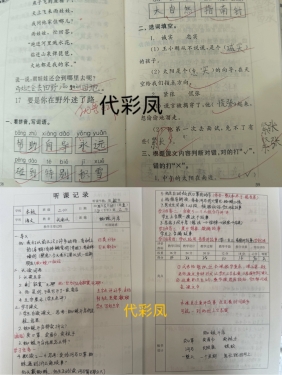 代彩凤