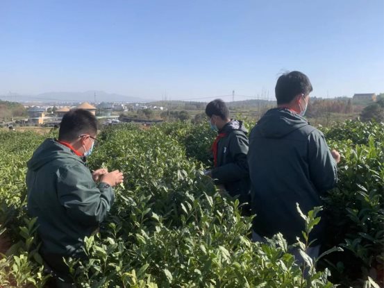 C:/Users/HP/Desktop/社会实践图片/八/NR8AVjViQ1FBeU5EZzVPRGN3TlRBbnRpWnBUcmJDS1EhIQUAcXVuZ3o!.jpegNR8AVjViQ1FBeU5EZzVPRGN3TlRBbnRpWnBUcmJDS1EhIQUAcXVuZ3o!