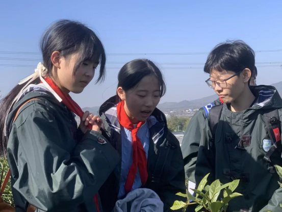 NR8AVjViQ1FBeU5EZzVPRGN3TlRBd3RpWnBPaGlXS1EhIQUAcXVuZ3o!