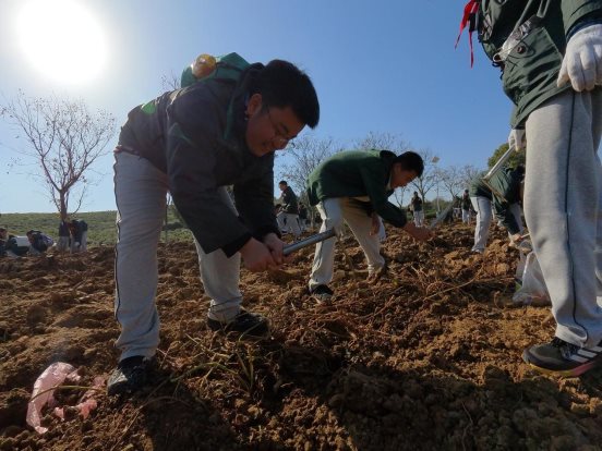 DBCD7437BC83382E6FC1F186FBF1A5C6