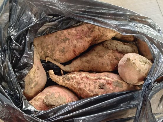 6655186BCD3FBF0B99D3393EF9ECCEEC