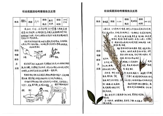 long_pic_1764678001213523